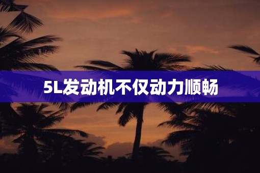 5L发动机不仅动力顺畅