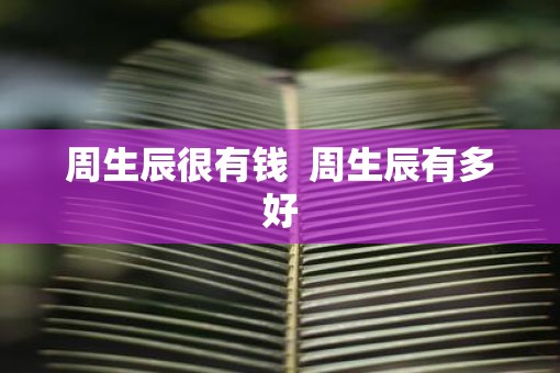 周生辰很有钱  周生辰有多好