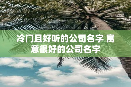 冷门且好听的公司名字 寓意很好的公司名字