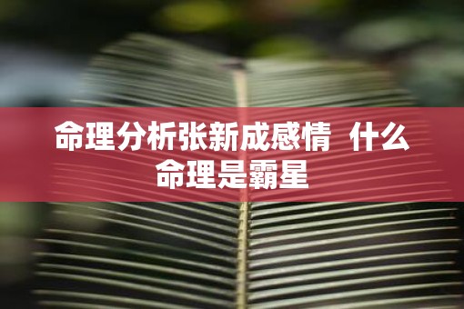 命理分析张新成感情  什么命理是霸星