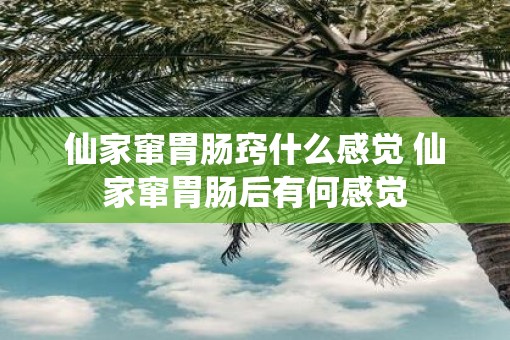 仙家窜胃肠窍什么感觉 仙家窜胃肠后有何感觉