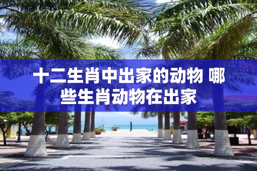 十二生肖中出家的动物 哪些生肖动物在出家