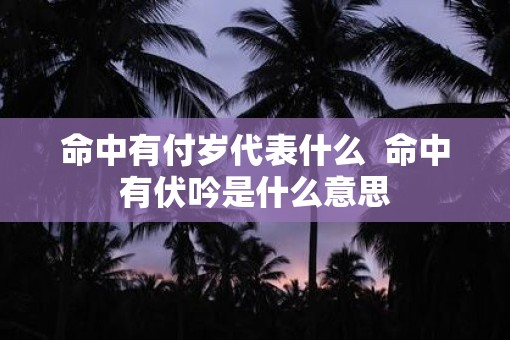 命中有付岁代表什么  命中有伏吟是什么意思