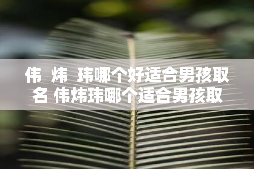 伟  炜  玮哪个好适合男孩取名 伟炜玮哪个适合男孩取名