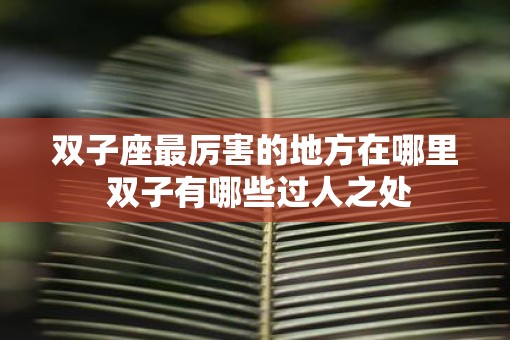 双子座最厉害的地方在哪里 双子有哪些过人之处 双子座最厉害的地方在哪里 双子有哪些过人之处