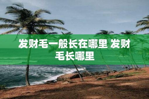 发财毛一般长在哪里 发财毛长哪里