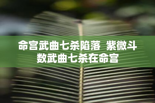 命宫武曲七杀陷落  紫微斗数武曲七杀在命宫