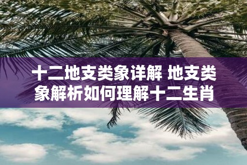 十二地支类象详解 地支类象解析如何理解十二生肖