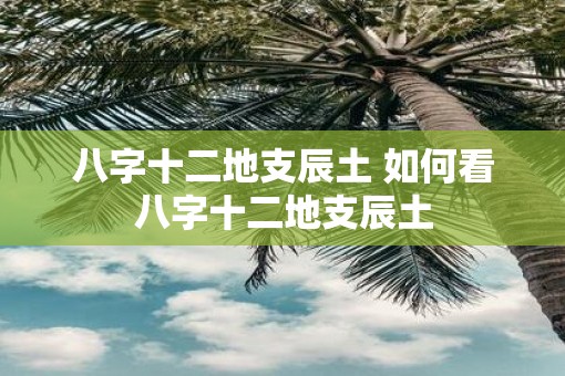 八字十二地支辰土 如何看八字十二地支辰土