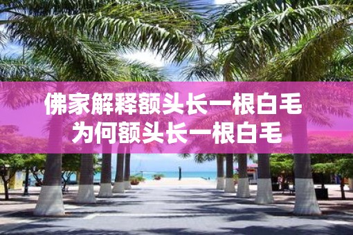 佛家解释额头长一根白毛 为何额头长一根白毛