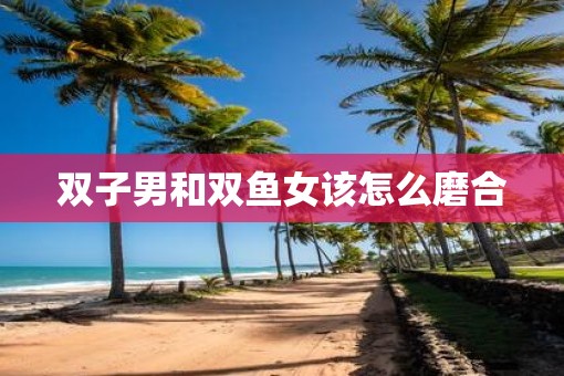 双子男和双鱼女该怎么磨合