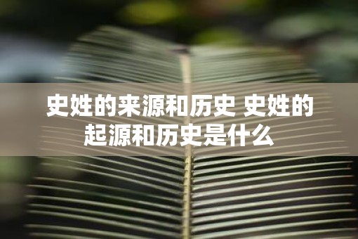 史姓的来源和历史 史姓的起源和历史是什么