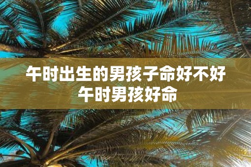 午时出生的男孩子命好不好 午时男孩好命