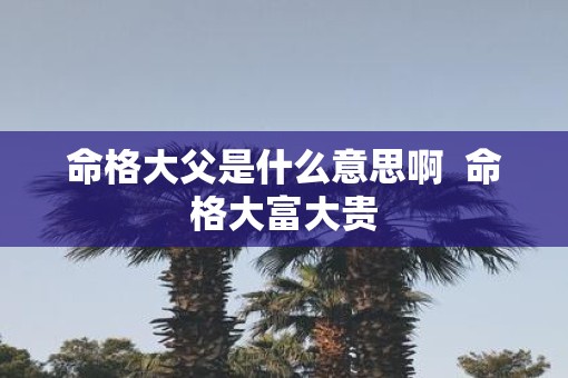 命格大父是什么意思啊  命格大富大贵