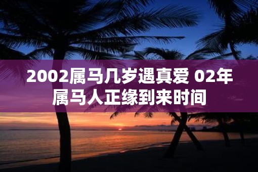 2002属马几岁遇真爱 02年属马人正缘到来时间