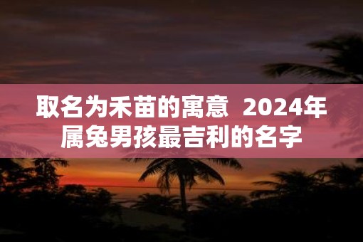 取名为禾苗的寓意  2025年属兔男孩最吉利的名字