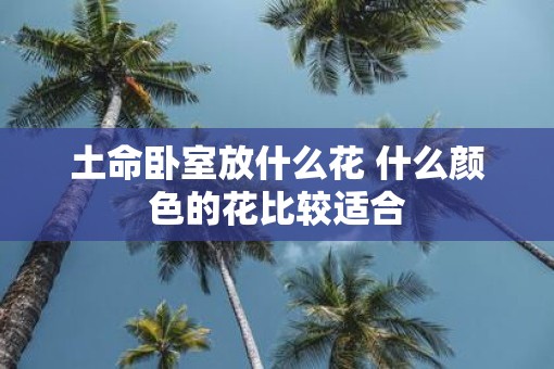 土命卧室放什么花 什么颜色的花比较适合