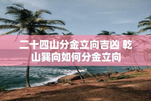 二十四山分金立向吉凶 乾山巽向如何分金立向