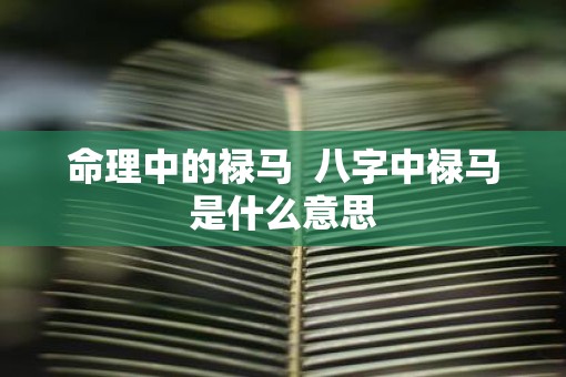 命理中的禄马  八字中禄马是什么意思
