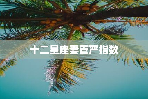 十二星座妻管严指数