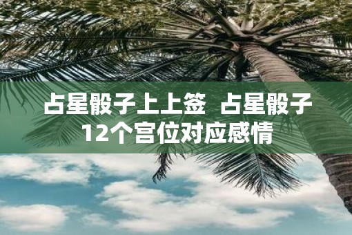 占星骰子上上签 占星骰子12个宫位对应感情 占星骰子上上签 占星骰子12个宫位对应感情