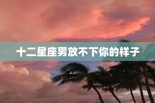 十二星座男放不下你的样子