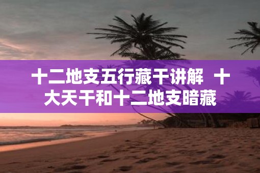 十二地支五行藏干讲解  十大天干和十二地支暗藏