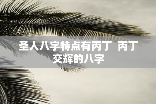 圣人八字特点有丙丁  丙丁交辉的八字