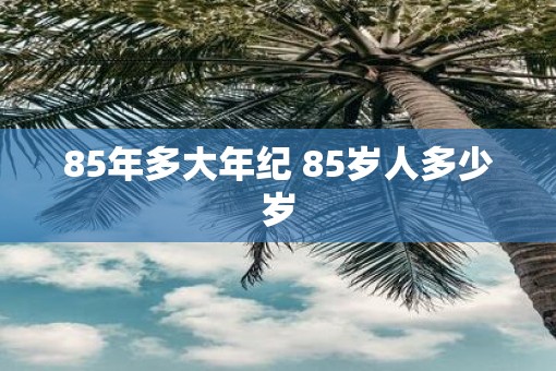 85年多大年纪 85岁人多少岁