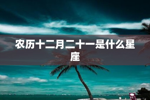 农历十二月二十一是什么星座