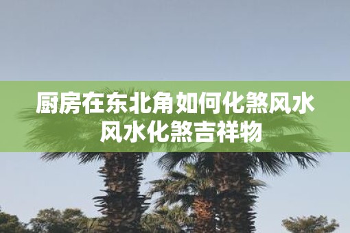厨房在东北角如何化煞风水 风水化煞吉祥物 厨房在东北角如何化煞风水 风水化煞吉祥物