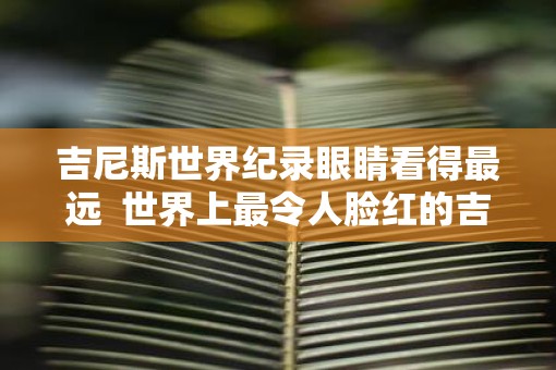 吉尼斯世界纪录眼睛看得最远  世界上最令人脸红的吉尼斯纪录
