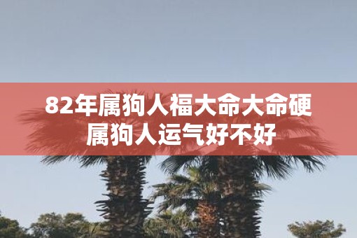 82年属狗人福大命大命硬 属狗人运气好不好