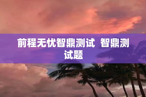 前程无忧智鼎测试  智鼎测试题