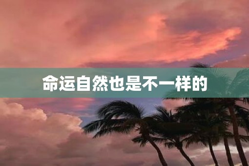 命运自然也是不一样的