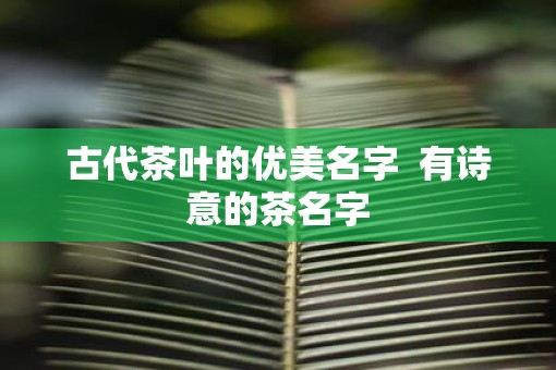 古代茶叶的优美名字  有诗意的茶名字