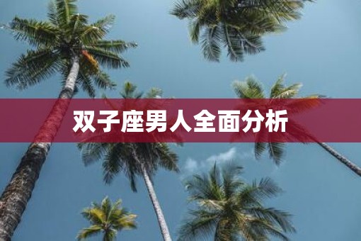 双子座男人全面分析