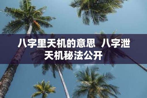 八字里天机的意思  八字泄天机秘法公开