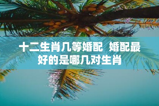 十二生肖几等婚配  婚配最好的是哪几对生肖