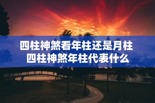 四柱神煞看年柱还是月柱 四柱神煞年柱代表什么 四柱神煞看年柱还是月柱 四柱神煞年柱代表什么