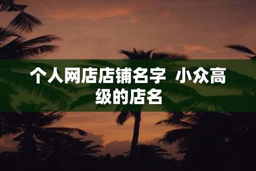 个人网店店铺名字  小众高级的店名