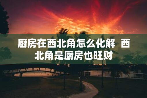 厨房在西北角怎么化解  西北角是厨房也旺财