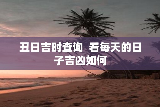 丑日吉时查询  看每天的日子吉凶如何