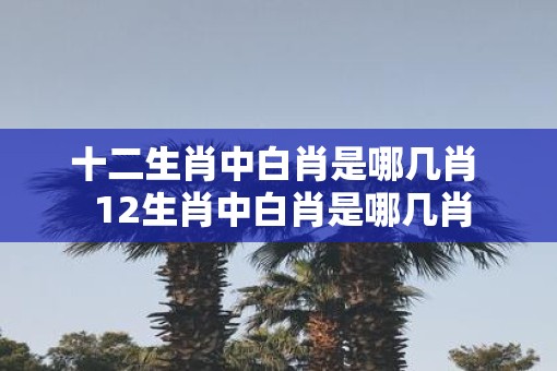 十二生肖中白肖是哪几肖  12生肖中白肖是哪几肖