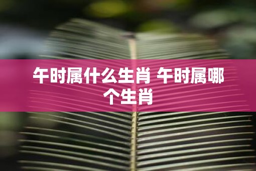午时属什么生肖 午时属哪个生肖