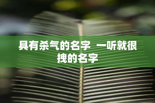 具有杀气的名字  一听就很拽的名字