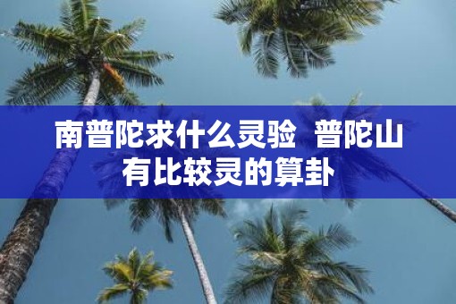 南普陀求什么灵验  普陀山有比较灵的算卦