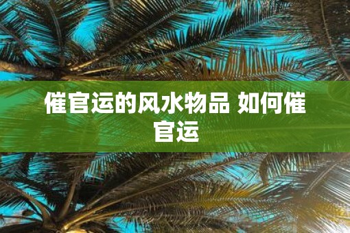 催官运的风水物品 如何催官运