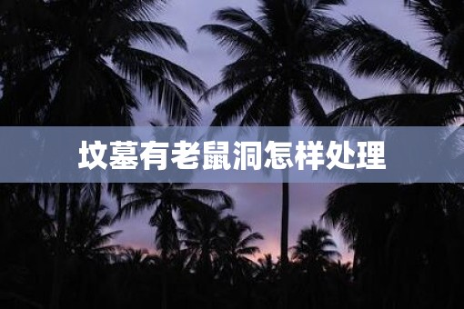 坟墓有老鼠洞怎样处理
