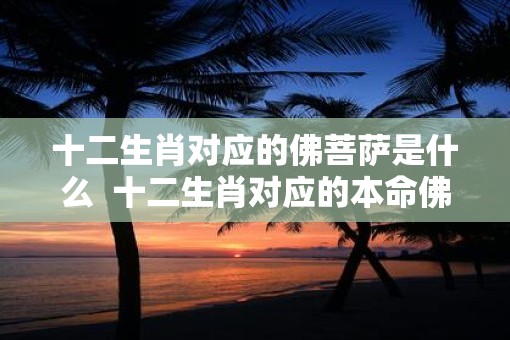 十二生肖对应的佛菩萨是什么  十二生肖对应的本命佛